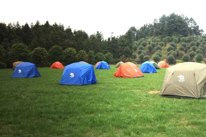 长沙遇见森林露营烧烤，一次亲近自然的奇妙之旅