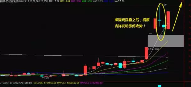 路亚线大力马主线0.8，探索新一代钓鱼技术的核心要素