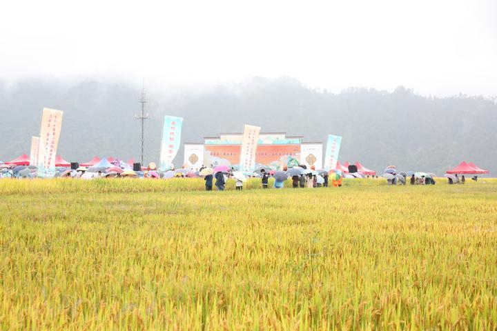 千岛湖赶集地址，探寻乡村集市的魅力