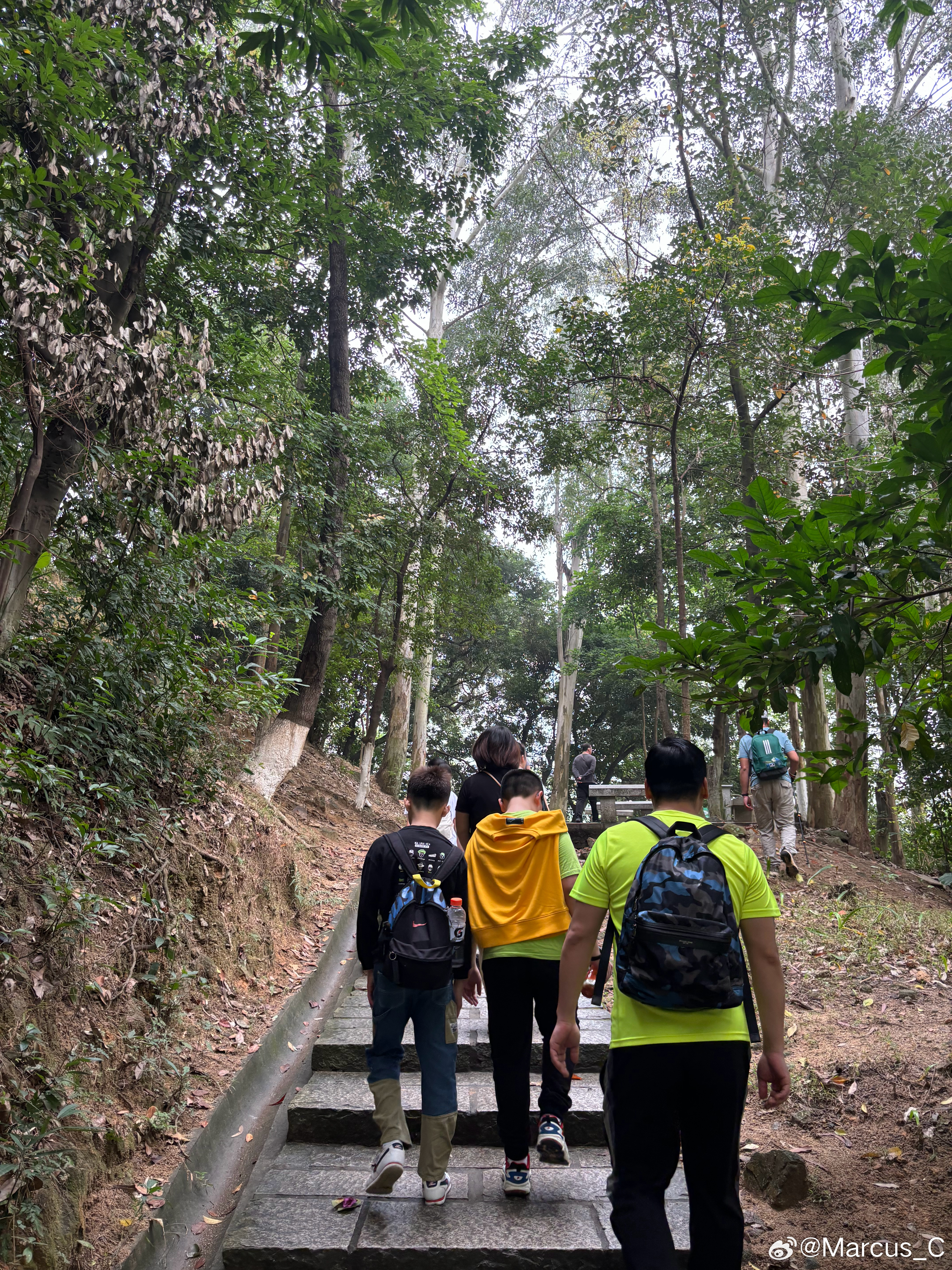 广州火炉山森林公园露营之旅