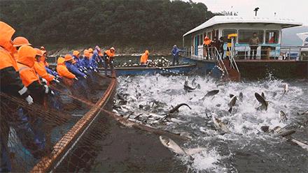 千岛湖秀水街的独特魅力与探索其地址的旅程