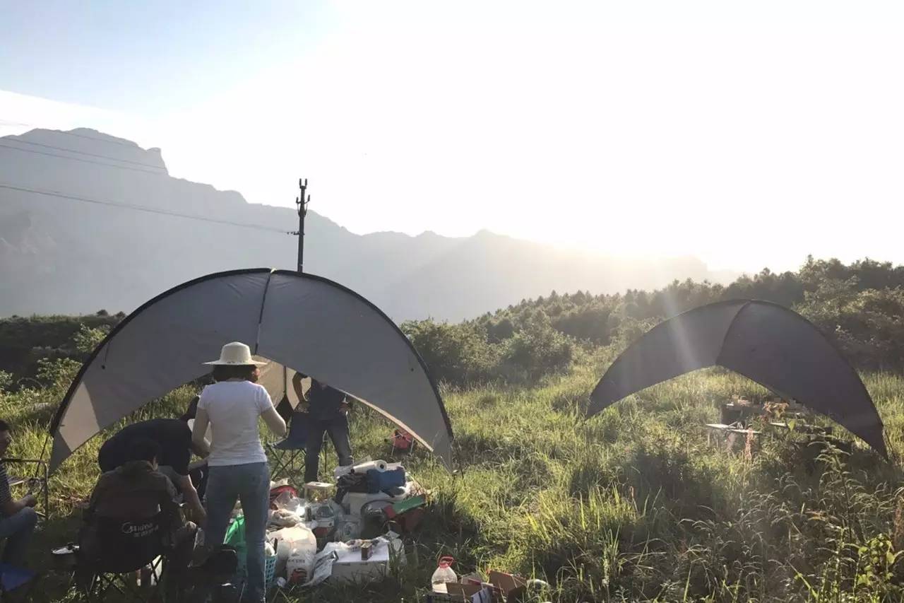 森林风露营烧烤，与自然共舞的美妙夜晚