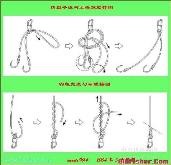 大力马的鱼线能否作为主线使用，探讨与解析